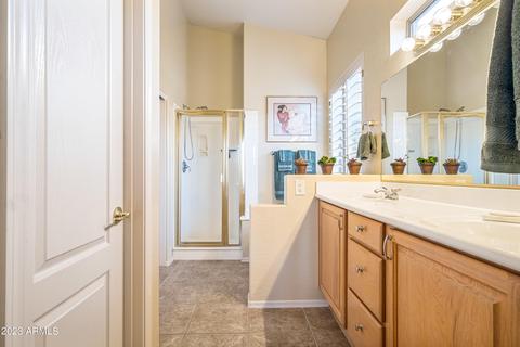 7664 E Wolf Canyon St, Mesa, AZ 85207 photo 22