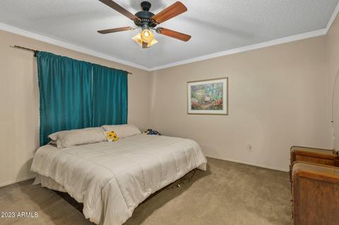 4749 Evergreen St, Mesa, AZ 85205 photo 15