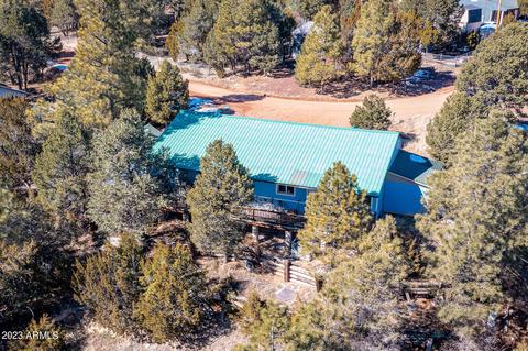3439 Top View Rd, Overgaard, AZ 85933 photo 20