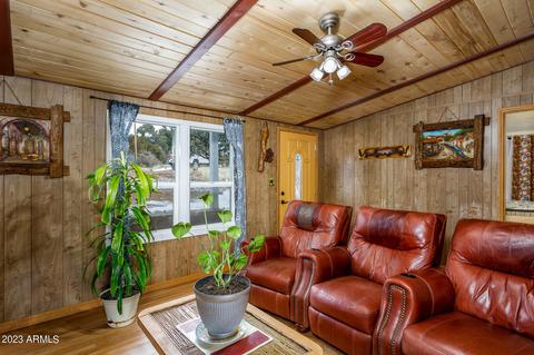 3439 Top View Rd, Overgaard, AZ 85933 photo 3