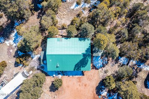 3439 Top View Rd, Overgaard, AZ 85933 photo 21