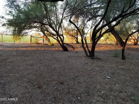 1009 E Monroe Ave #'''-''', Buckeye, AZ 85326