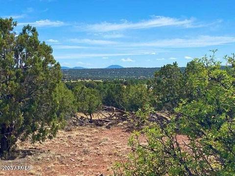 Show Low Pines Unit 9 Lot 159, Concho, AZ 85924