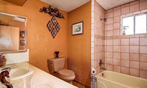 1141 E Sorenson St, Mesa, AZ 85203 photo 19