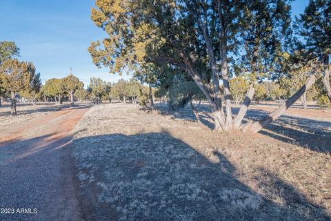 2075 Shadow Pines Dr, Overgaard, AZ 85933 photo 15