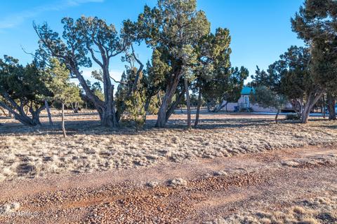 2075 Shadow Pines Dr, Overgaard, AZ 85933 photo 14