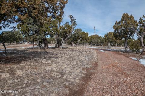 2075 Shadow Pines Dr, Overgaard, AZ 85933 photo 11