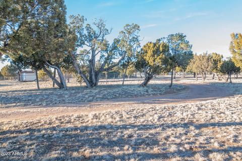 2075 Shadow Pines Dr, Overgaard, AZ 85933 photo 13
