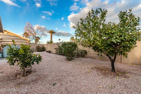 2111 S Gordon --, Mesa, AZ 85209 photo 25