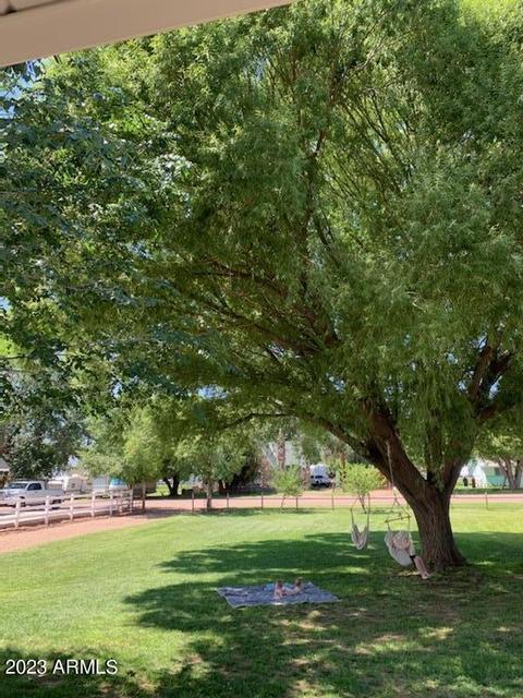 121 N 500 St E, Taylor, AZ 85939 photo 6