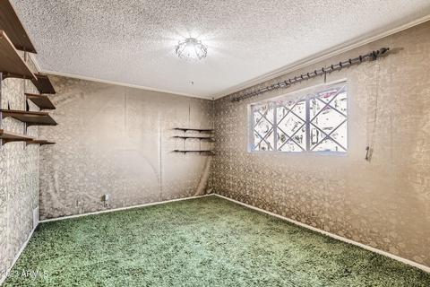 521 E State Ave, Phoenix, AZ 85020 photo 19