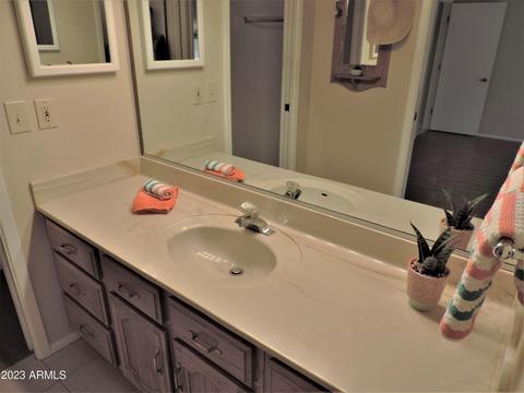 8229 E Kiowa Ave, Mesa, AZ 85209 photo 17