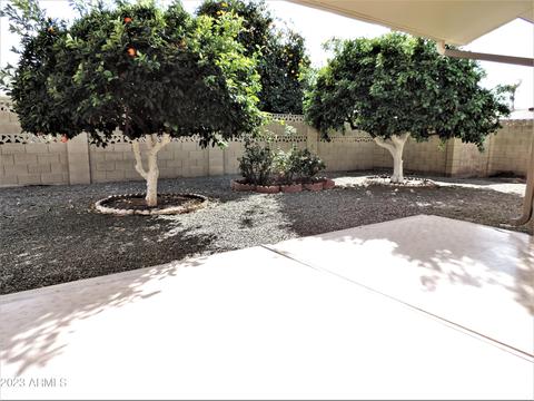 8229 E Kiowa Ave, Mesa, AZ 85209 photo 30