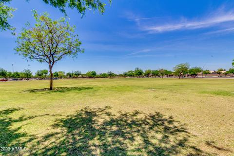 10408 Edgewood Ave, Mesa, AZ 85208 photo 46