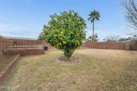 2452 E Libby St, Phoenix, AZ 85032 photo 32