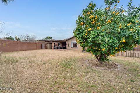 2452 E Libby St, Phoenix, AZ 85032 photo 33