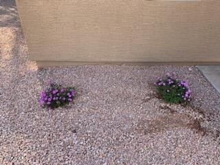 495 W Scott Ave, Gilbert, AZ 85233 photo 22