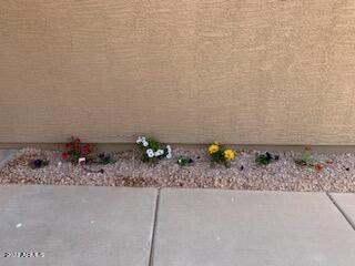 495 W Scott Ave, Gilbert, AZ 85233 photo 21