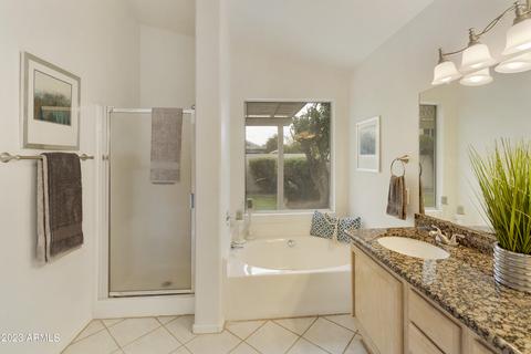 167 W Smoke Tree Rd, Gilbert, AZ 85233 photo 18