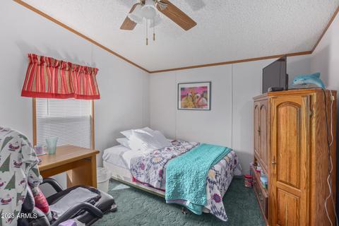 624 S Delaware Dr, Apache Junction, AZ 85120 photo 23