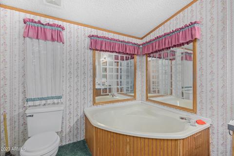 624 S Delaware Dr, Apache Junction, AZ 85120 photo 19