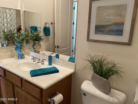 1815 E Desert Ln, Phoenix, AZ 85042 photo 24