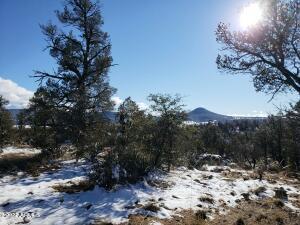 4 N 5 N Ike Clark Pkwy # R, Young, AZ 85554