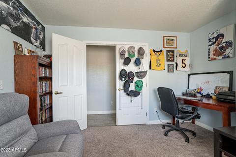 9031 E Plana Ave, Mesa, AZ 85212 photo 18
