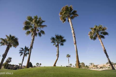 8020 E Keats Ave #313, Mesa, AZ 85209 photo 25