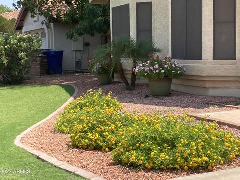 1927 E Citation Ln, Tempe, AZ 85284 photo 3