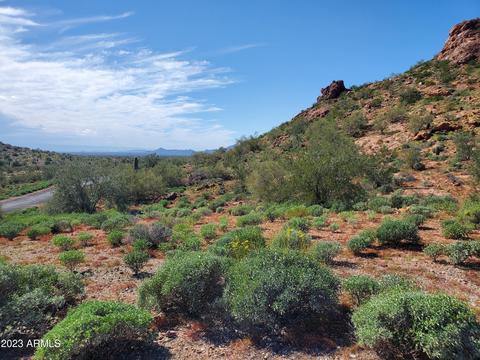 26420 N El Pedregal Cir #19, Queen Creek, AZ 85144