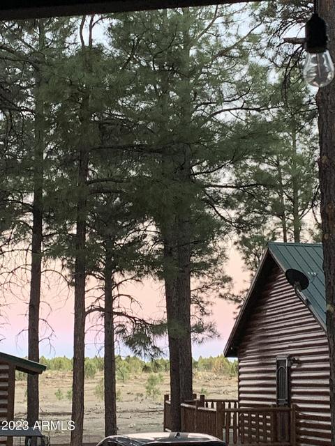 2718 High Pine Loop, Overgaard, AZ 85933 photo 16