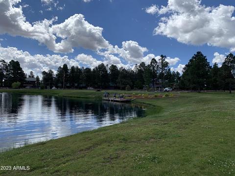 2718 High Pine Loop, Overgaard, AZ 85933 photo 5