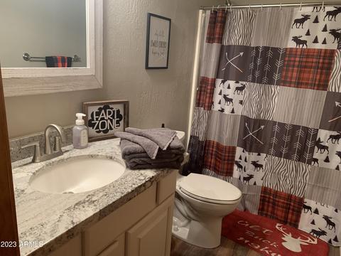 2718 High Pine Loop, Overgaard, AZ 85933 photo 4