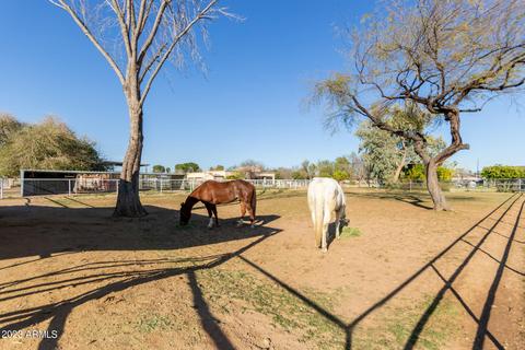 12634 E Cloud Rd, Chandler, AZ 85249 photo 36