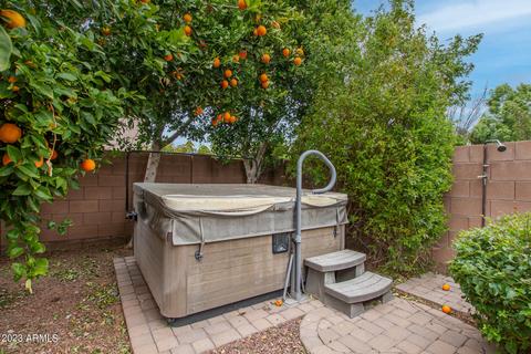 1098 E Ibis St, Gilbert, AZ 85297 photo 42