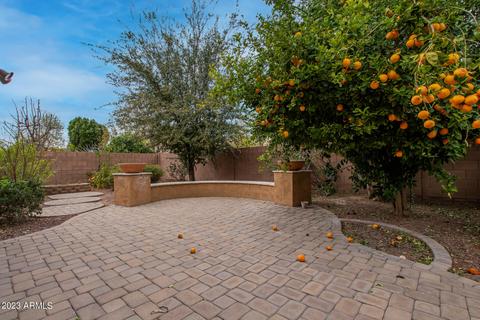 1098 E Ibis St, Gilbert, AZ 85297 photo 40