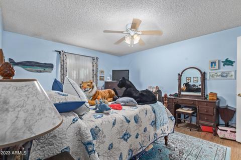 2531 E Boston St, Mesa, AZ 85213 photo 13