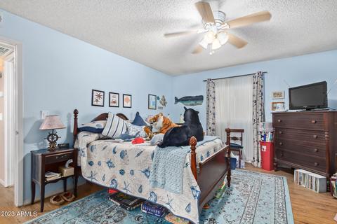 2531 E Boston St, Mesa, AZ 85213 photo 11