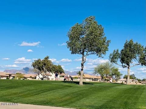 11344 E Mendoza Ave, Mesa, AZ 85209 photo 38