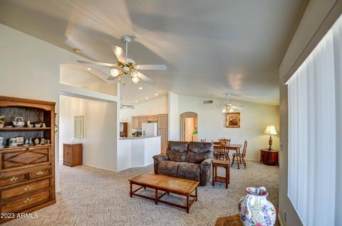 11344 E Mendoza Ave, Mesa, AZ 85209 photo 15