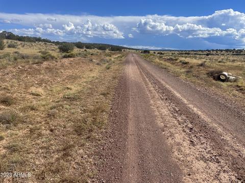 9457 W Bright Sky Apt B Trl #967A, Williams, AZ 86046