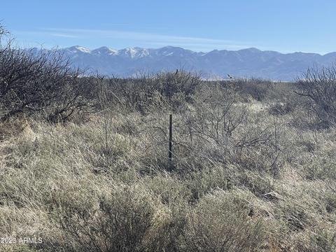 tbd S 1967 S Clovis Rd #38, Pearce, AZ 85625