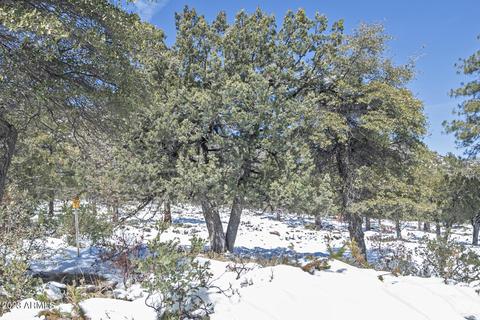 4890 N Cerro Vis, Pine, AZ 85544 photo 31