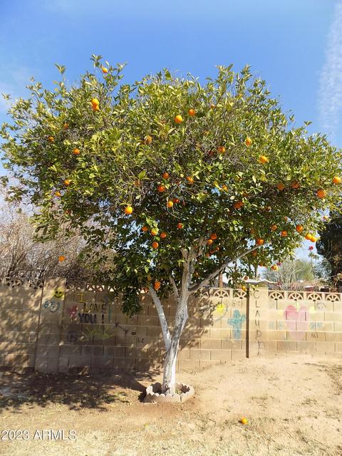 1947 E Meadow Dr, Tempe, AZ 85282 photo 26
