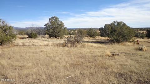 00 N Trackside Trail Ln #211, Ash Fork, AZ 86320