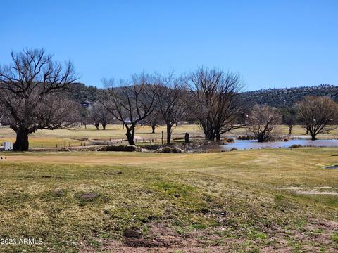 1507 W Mesa Dr, Payson, AZ 85541 photo 42