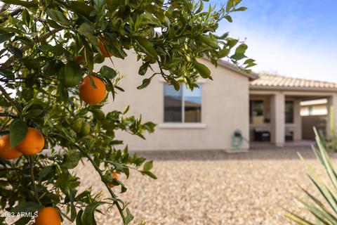 10302 E Tripoli Ave, Mesa, AZ 85212 photo 37