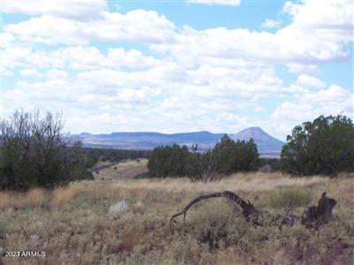 996 W Couchmans Trl #204, Ash Fork, AZ 86320