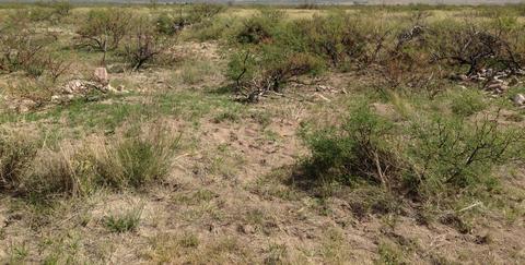tbd N 2 N Rascal Ranch Rd #-, Huachuca City, AZ 85616